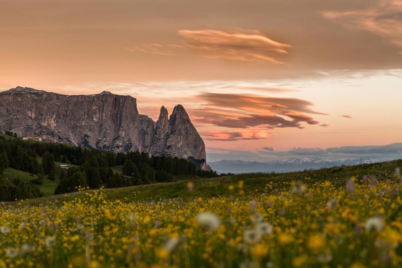 Hotel Goldknopf Alpe Di Siusi Εξωτερικό φωτογραφία