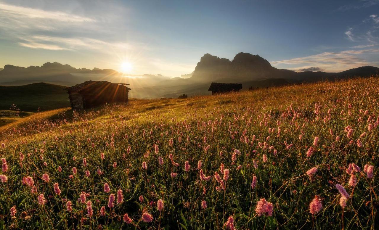 Hotel Goldknopf Alpe Di Siusi Εξωτερικό φωτογραφία